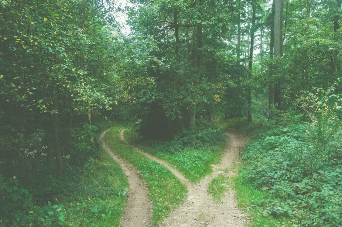 A path that splits into two on a forest trail similar to the addiction recovery journey experience
