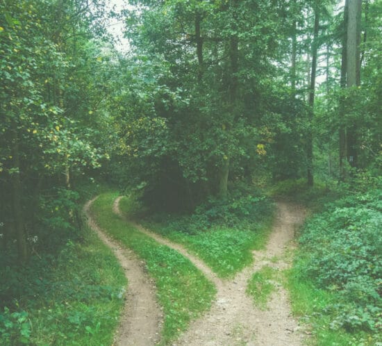 A path that splits into two on a forest trail similar to the addiction recovery journey experience