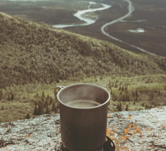 A cup of coffee sitting on the edge of a mountain overlooking a lush forest