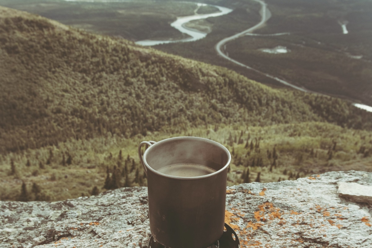 A cup of coffee sitting on the edge of a mountain overlooking a lush forest